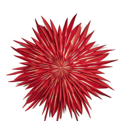 Maja Julstjärna – 60cm Röd