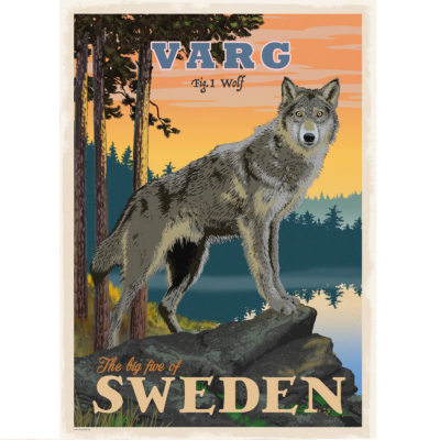 Poster Varg